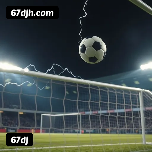 Níveis do programa VIP da 67dj